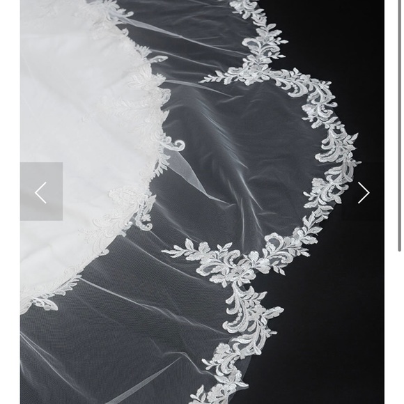 Ivory Cathedral Bridal Veil - Picture 2 of 5